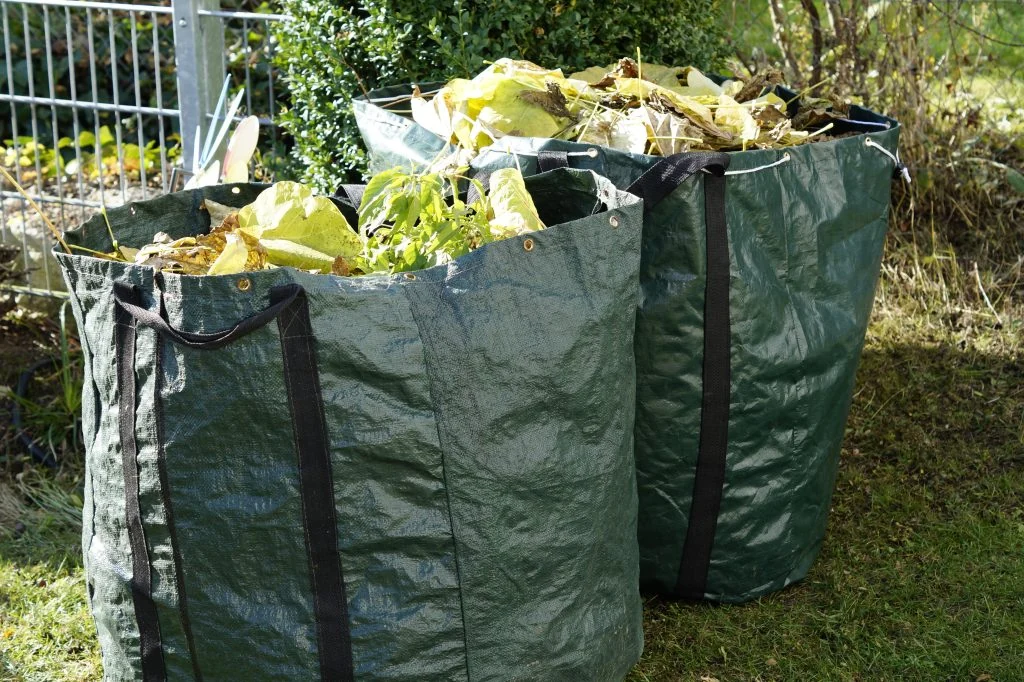 Branches and garden waste ready for cleanup