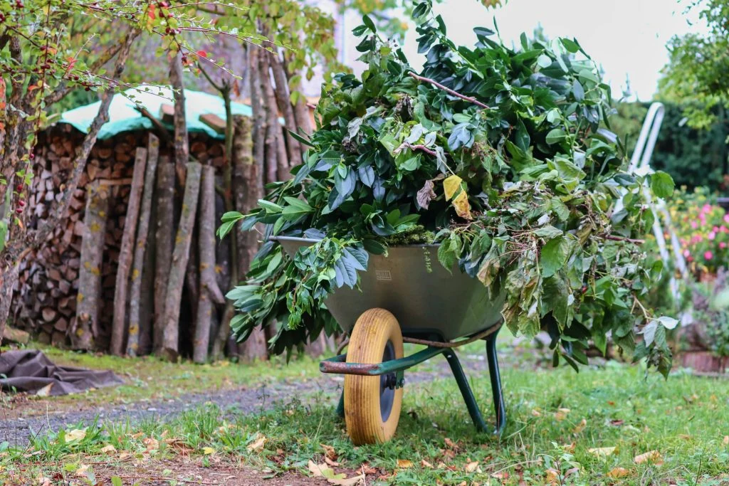 Wheelbarrows for property cleanup
